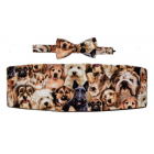 Puppy Dogs Cummerbund and Tie Set